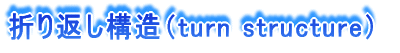 折り返し構造（turn structure）